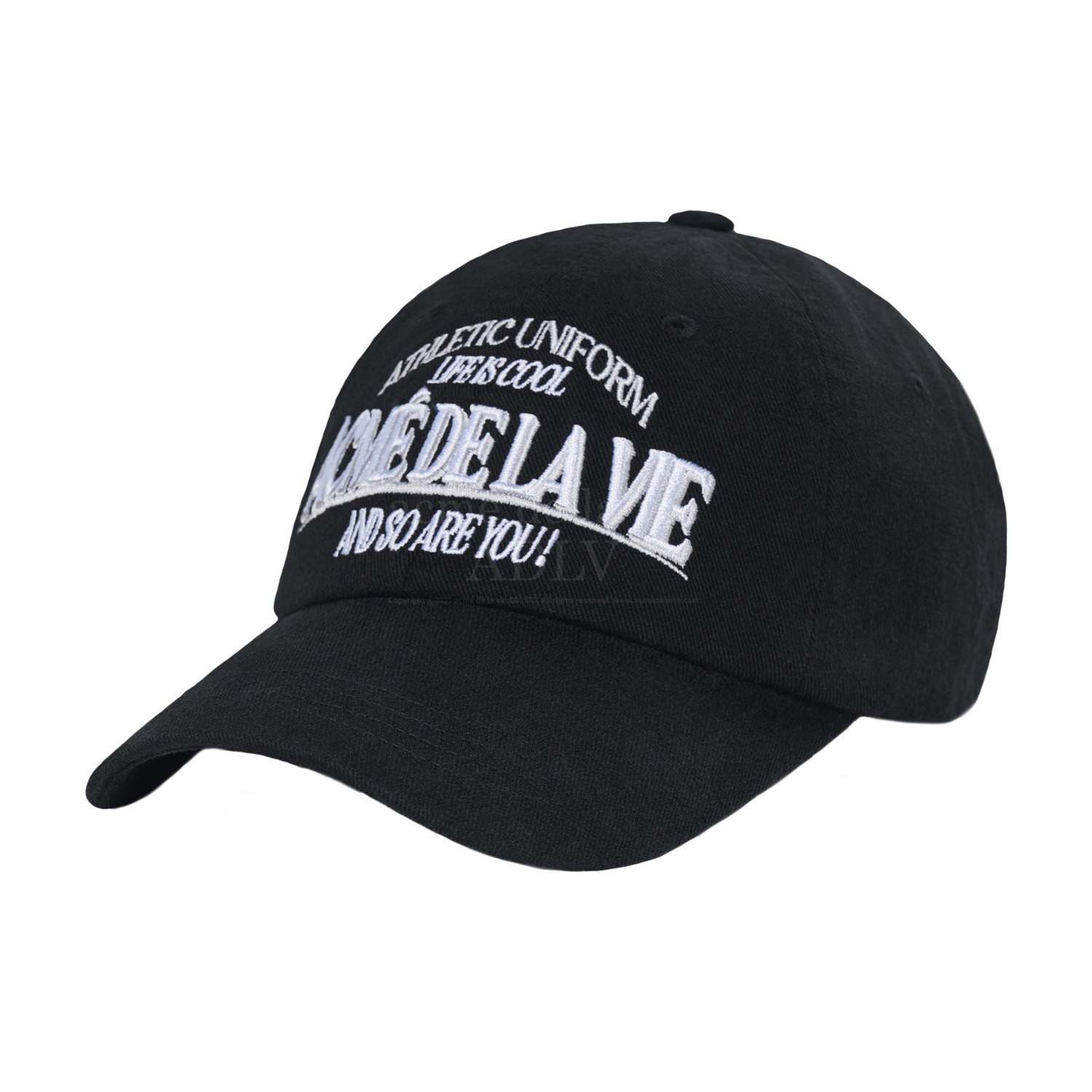ADLV-[아크메드라비] FISHING LOGO BALL CAP BLACK