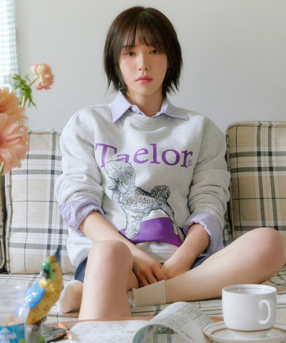 韓國GROOVE RHYME - TAELOR SERIES POODLE SWEATSHIRT (OATMEAL GREY)|WENDY同款