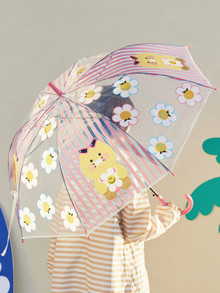 韓國 Kakao Friends X Wiggle Wiggle 春植透明直遮
