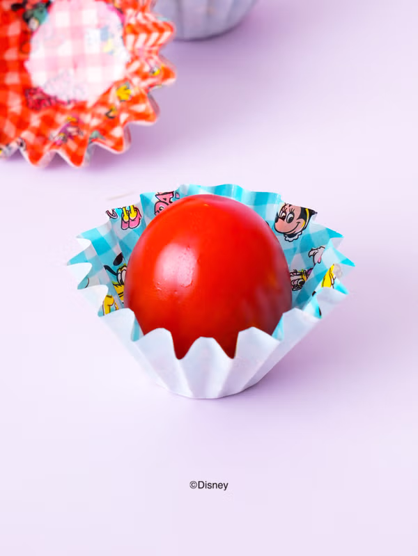 韓國 DAISO - 迪士尼米奇米妮迷你圓形紙模♡迪士尼 | DISNEY