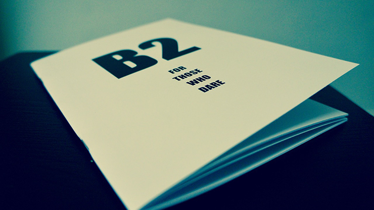 B2 敢於挑戰者（子彈例行程序）作者：Philipp Ganglberger - 電子書下載