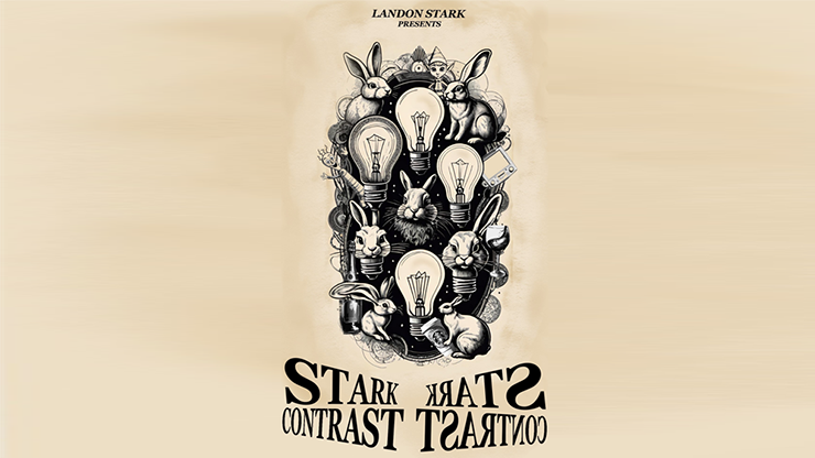 Landon Stark 的《強烈對比》電子書下載