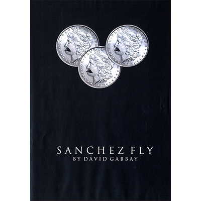 Sanchez Fly 由 David Gabbay 呈現 - 影片下載